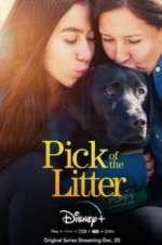 Watch Pick of the Litter 9Movies