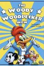 Watch The Woody Woodpecker Show 9Movies