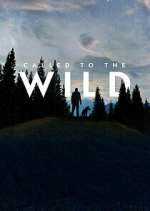 Watch Called to the Wild 9Movies