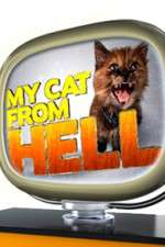 Watch My Cat from Hell 9Movies