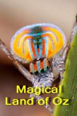 Watch Magical Land of Oz 9Movies
