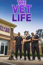 Watch The Vet Life 9Movies