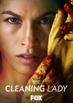 Watch The Cleaning Lady 9Movies