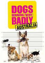 Watch Dogs Behaving (Very) Badly Australia 9Movies