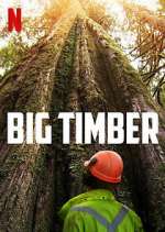 Watch Big Timber 9Movies