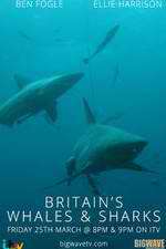 Watch Britain's Whales and Sharks 9Movies