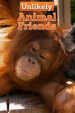 Watch Unlikely Animal Friends 9Movies