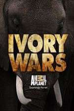 Watch Ivory Wars 9Movies