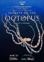 Watch Secrets of the Octopus 9Movies