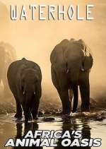 Watch Waterhole: Africa's Animal Oasis 9Movies