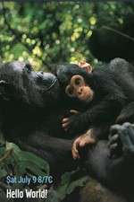 Watch Hello World! 9Movies