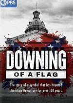 Watch Downing of a Flag 9Movies