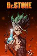 Watch Dr. Stone 9Movies