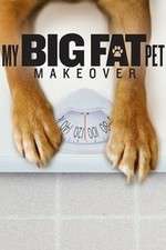 Watch My Big Fat Pet Makeover 9Movies