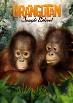 Watch Orangutan Jungle School 9Movies
