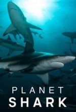 Watch Planet Shark 9Movies