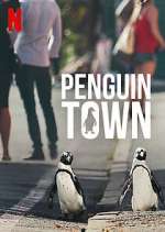 Watch Penguin Town 9Movies
