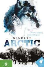 Watch Wildest Arctic 9Movies
