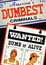 Watch America\'s Dumbest Criminals 9Movies