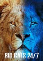 Watch Big Cats 24/7 9Movies