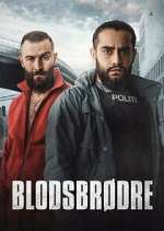Watch BlodsbrÃ¸dre 9Movies
