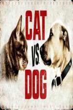 Watch Cat vs. Dog 9Movies