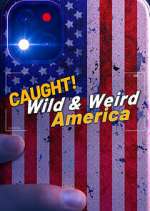 Watch Wild & Weird America 9Movies