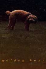 Watch Golden Hour 9Movies