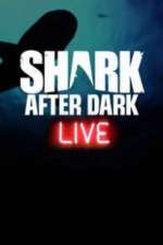 Watch Shark After Dark 9Movies