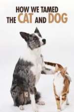 Watch How We Tamed the Cat and Dog 9Movies
