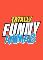 Watch Totally Funny Animals 9Movies