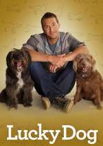 Watch Lucky Dog 9Movies