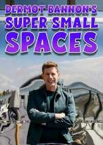 Watch Dermot Bannon's Super Small Spaces 9Movies