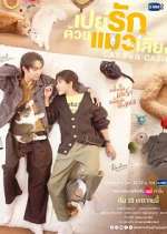 Watch Cat for Cash 9Movies