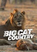 Watch Big Cat Country 9Movies
