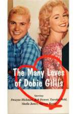 Watch The Many Loves of Dobie Gillis 9Movies