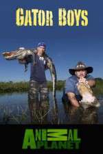 Watch Gator Boys 9Movies