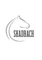 Watch Shadrach 9Movies