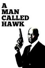 Watch A Man Called Hawk 9Movies