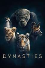 Watch Dynasties 9Movies