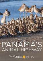 Watch Panama's Animal Highway 9Movies