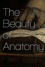 Watch The Beauty of Anatomy 9Movies