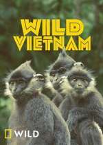 Watch Wild Vietnam 9Movies