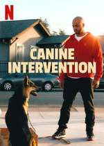 Watch Canine Intervention 9Movies