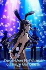 Watch Rascal Does Not Dream of Bunny Girl Senpai 9Movies