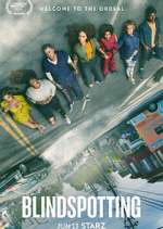 Watch Blindspotting 9Movies
