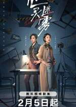 Watch Lies Never Lie 9Movies