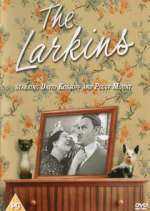 Watch The Larkins 9Movies