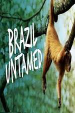 Watch Brazil Untamed 9Movies