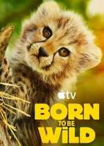 Watch Born to Be Wild 9Movies